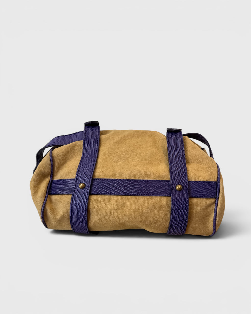 Sac à main toile et cuir Beige/mauve Gianfranco Ferre